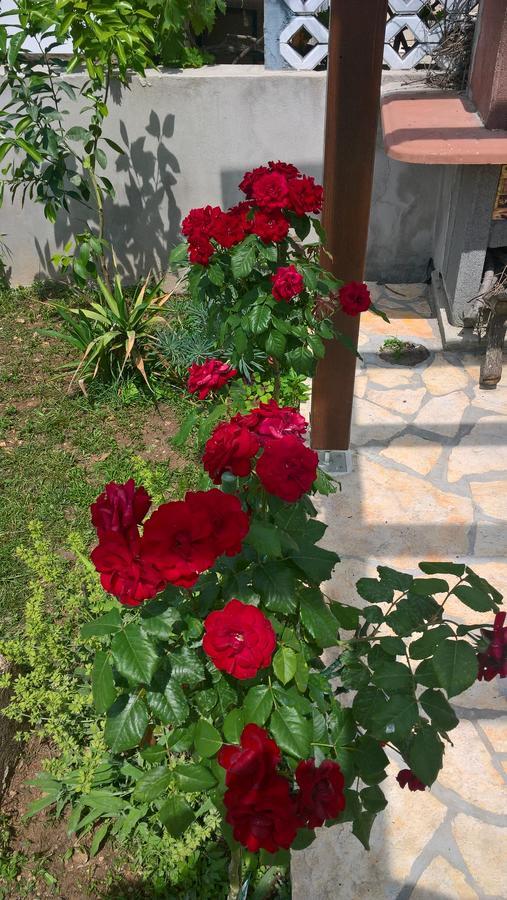 Holiday Home Arbanase Ζαντάρ Εξωτερικό φωτογραφία